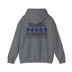 Standards Hoodie