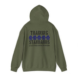 Standards Hoodie